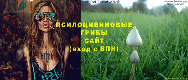 спиды Абаза