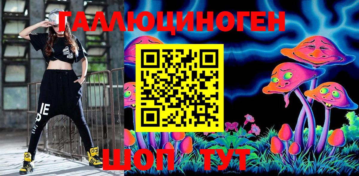 дарнет шоп  Псилоцибиновые грибы мухоморы  Вход с VPN  Якутск 