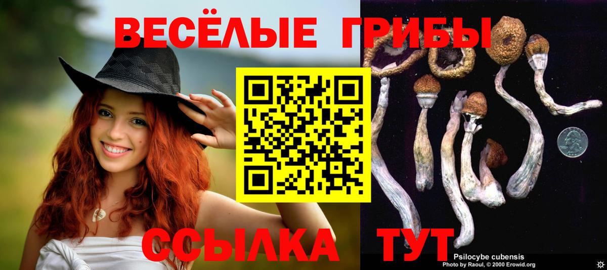 Псилоцибиновые грибы MAGIC MUSHROOMS Якутск